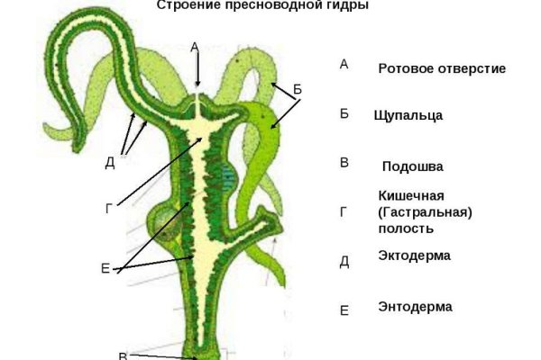 Кракен сайт зеркало рабочее