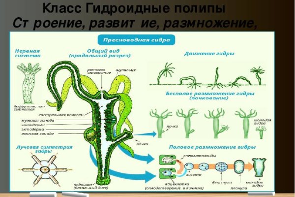 Ссылка на официальный сайт кракен kra.mp