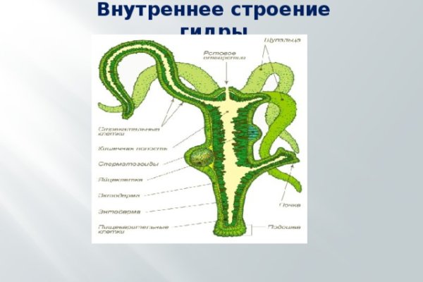 Кракен зеркало