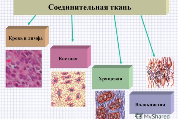 Настоящая ссылка на кракен