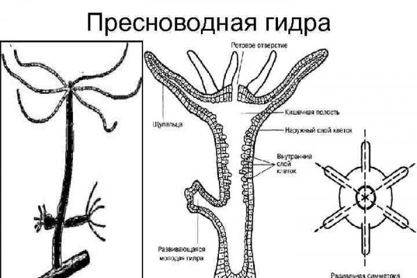 Кракен онион ссылка тор зеркало kraken6.at kraken7.at kraken8.at