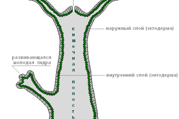 Кракен новый адрес