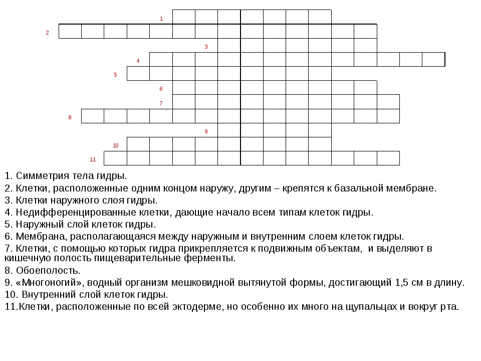 Кракен через зеркало